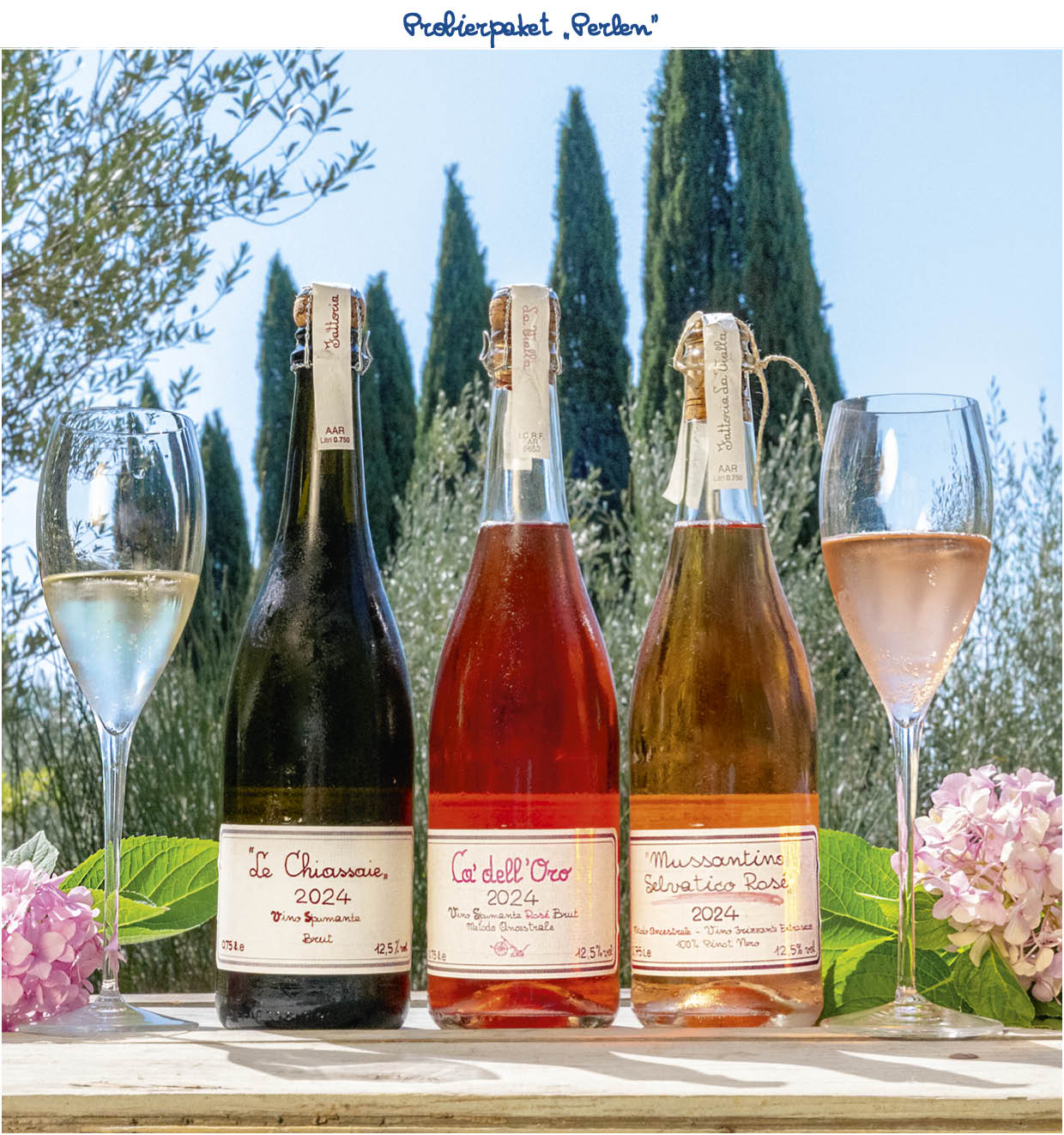 Probierpaket „Perlen“