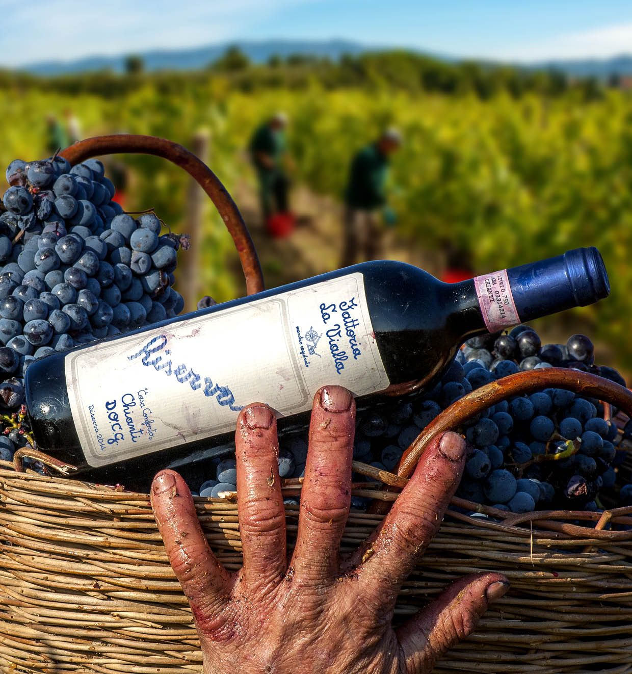 Casa Conforto Chianti Riserva D.O.C.G. 2014