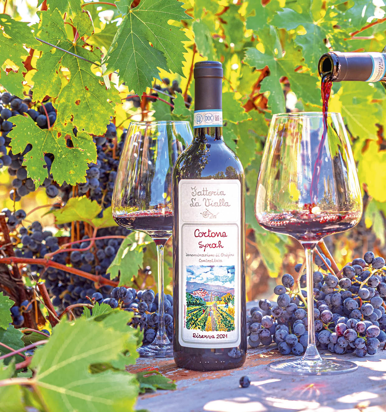 Cortona Syrah D.O.C. Riserva 2021