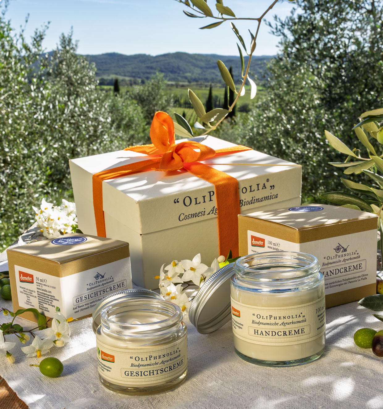 Gesichtscreme und Handcreme