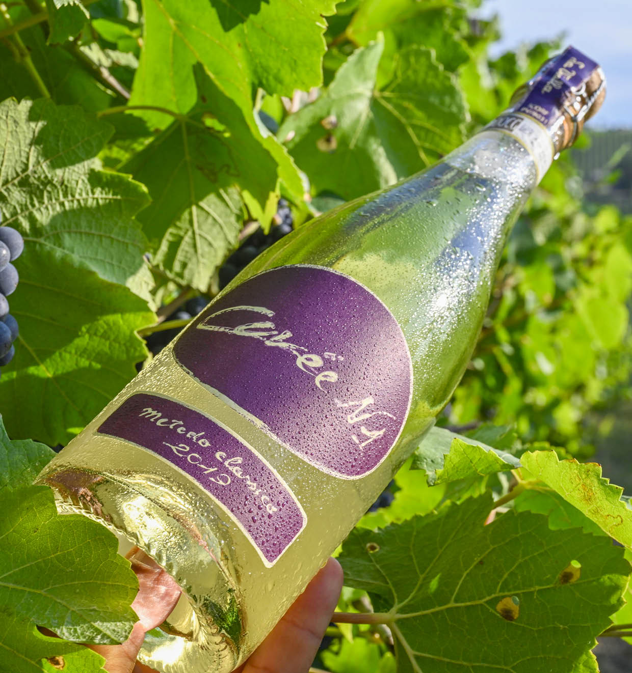 Cuvée N1 Metodo Classico Millesimato D.O.C.G. 2019