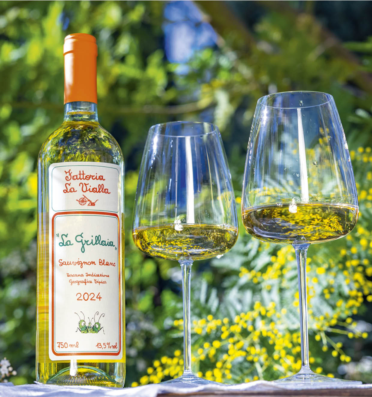 La Grillaia I.G.T. Toscana 2024