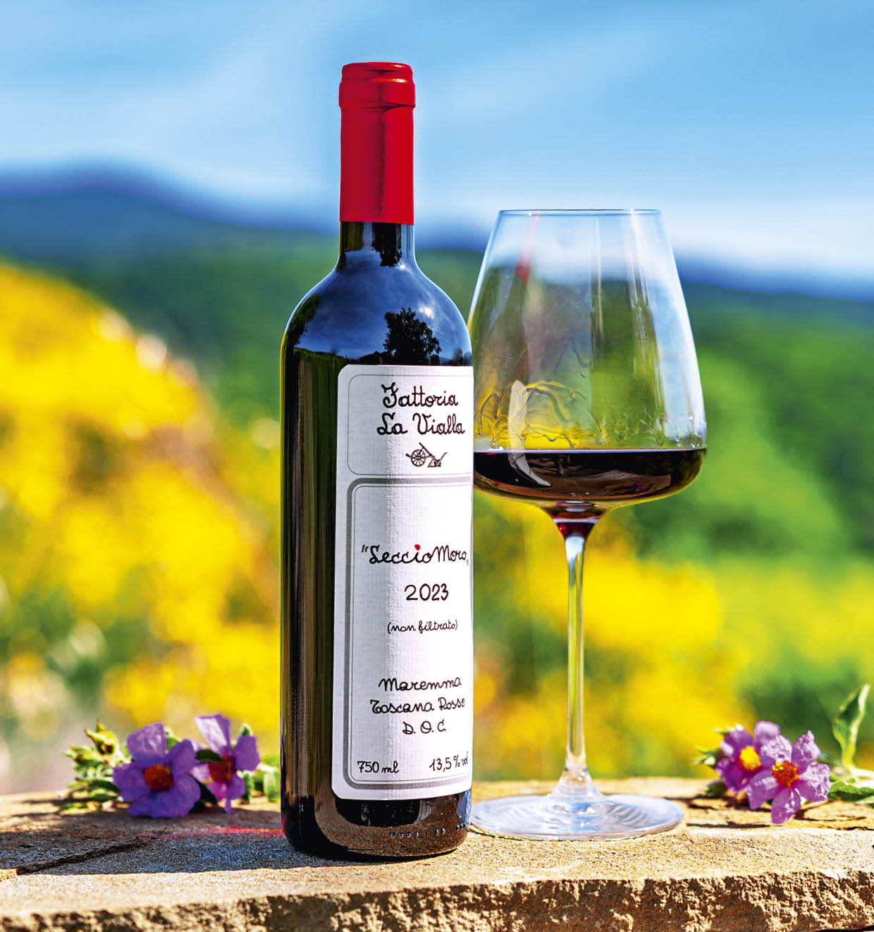 LeccioMoro Maremma Toscana Rosso D.O.C. 2023