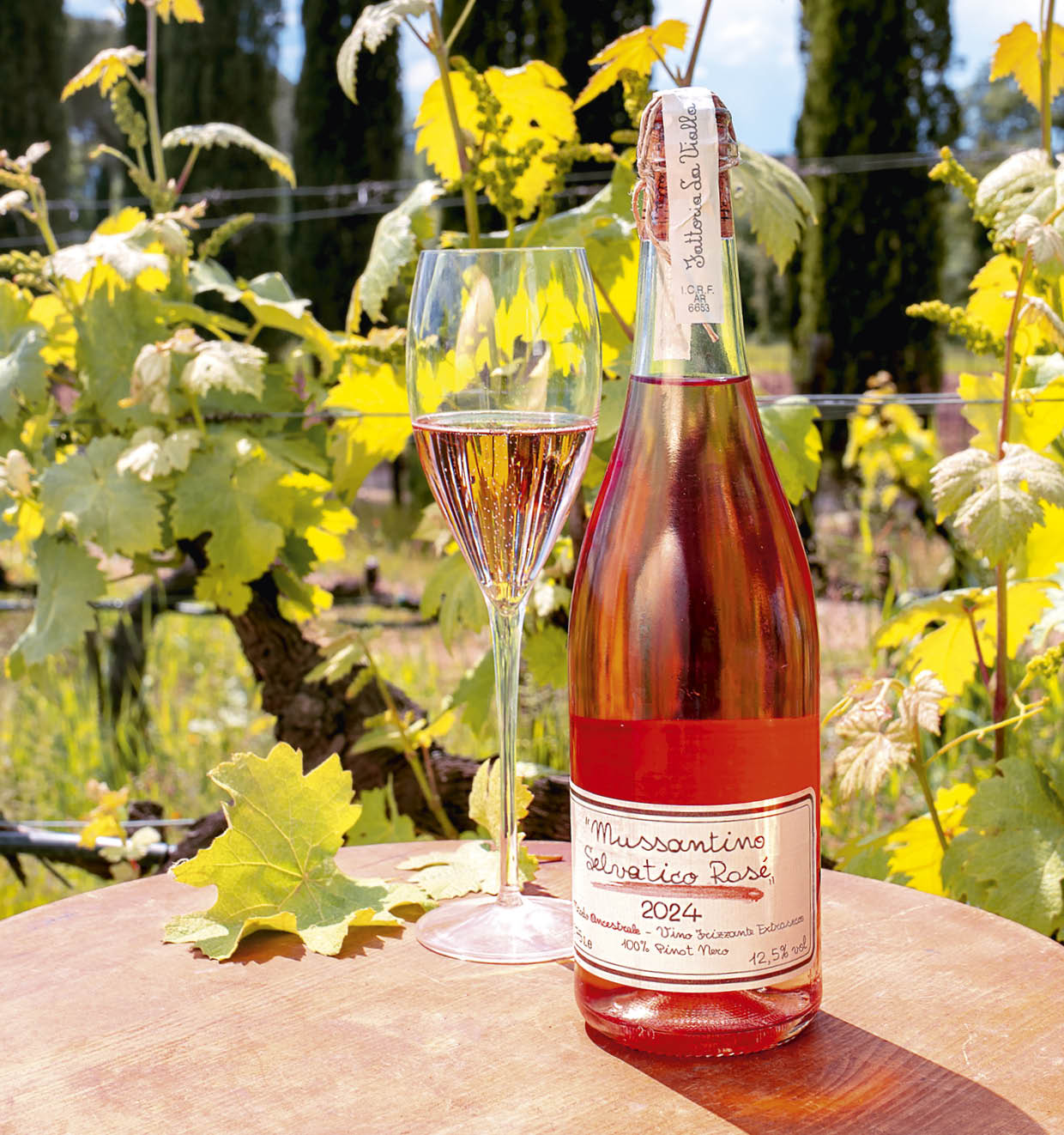 Mussantino Selvatico Rosé 2024