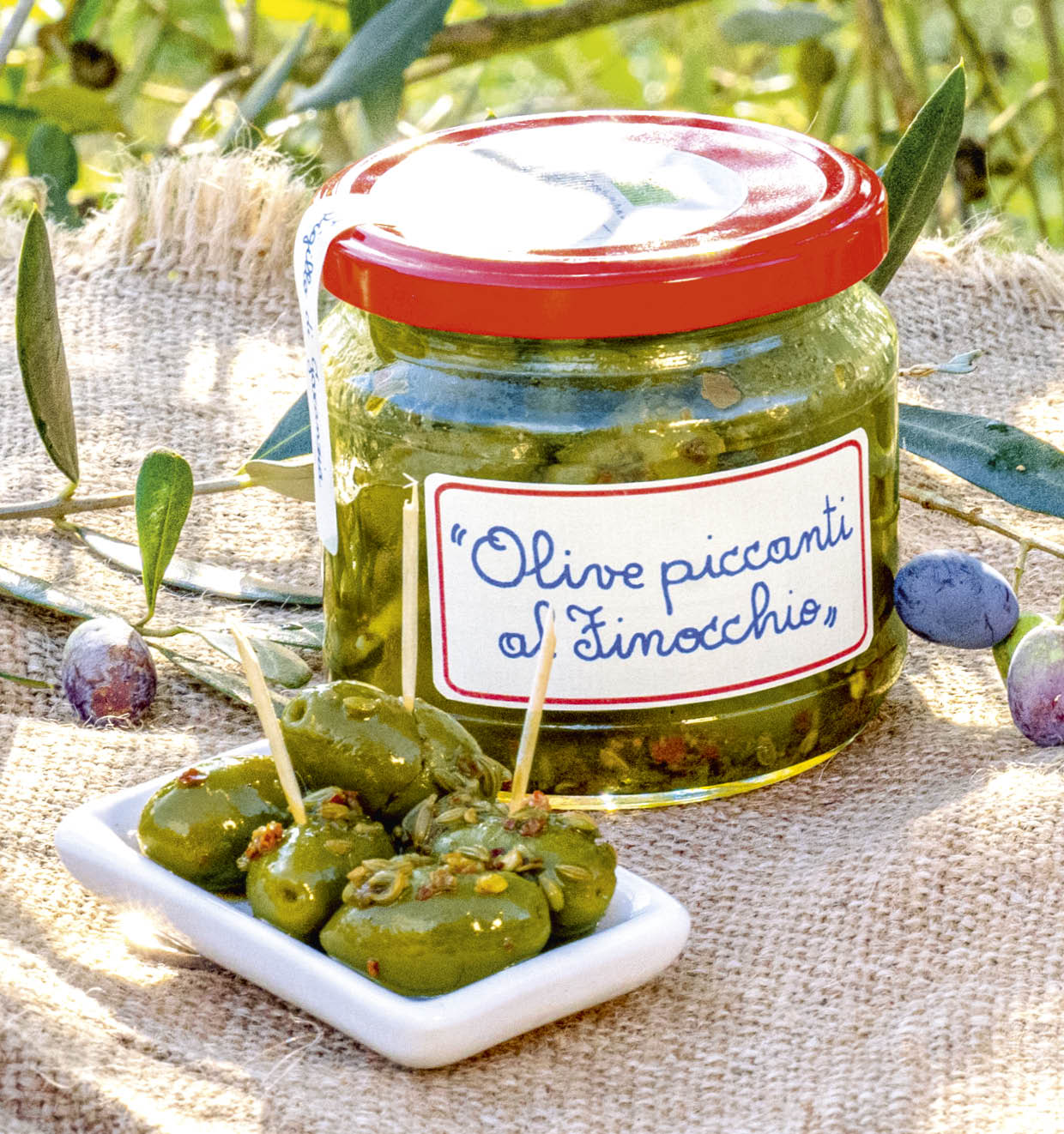 Pikante olijven met venkel