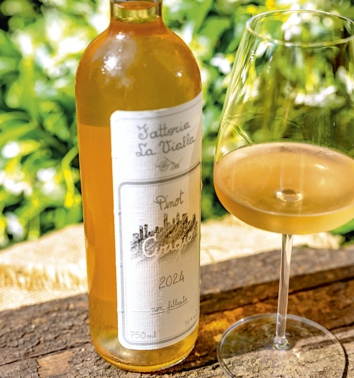 Pinot Grigio I.G.T. 2024