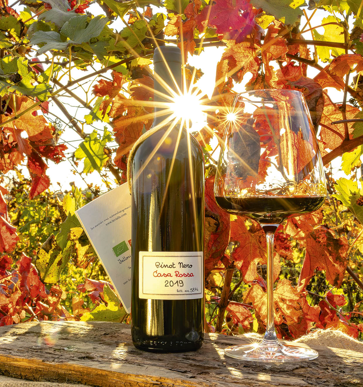 Pinot Nero Casa Rossa I.G.T. 2019