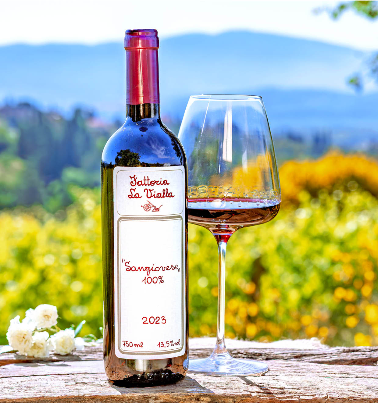 Sangiovese 100% I.G.T. 2023