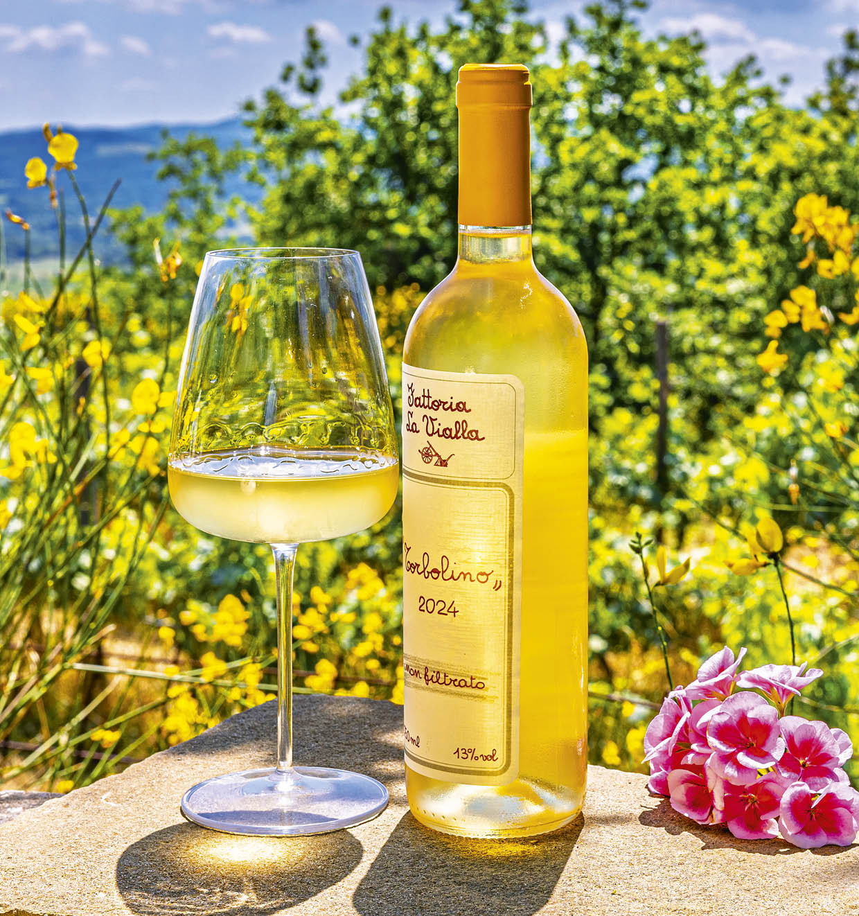 Torbolino non filtrato 2024