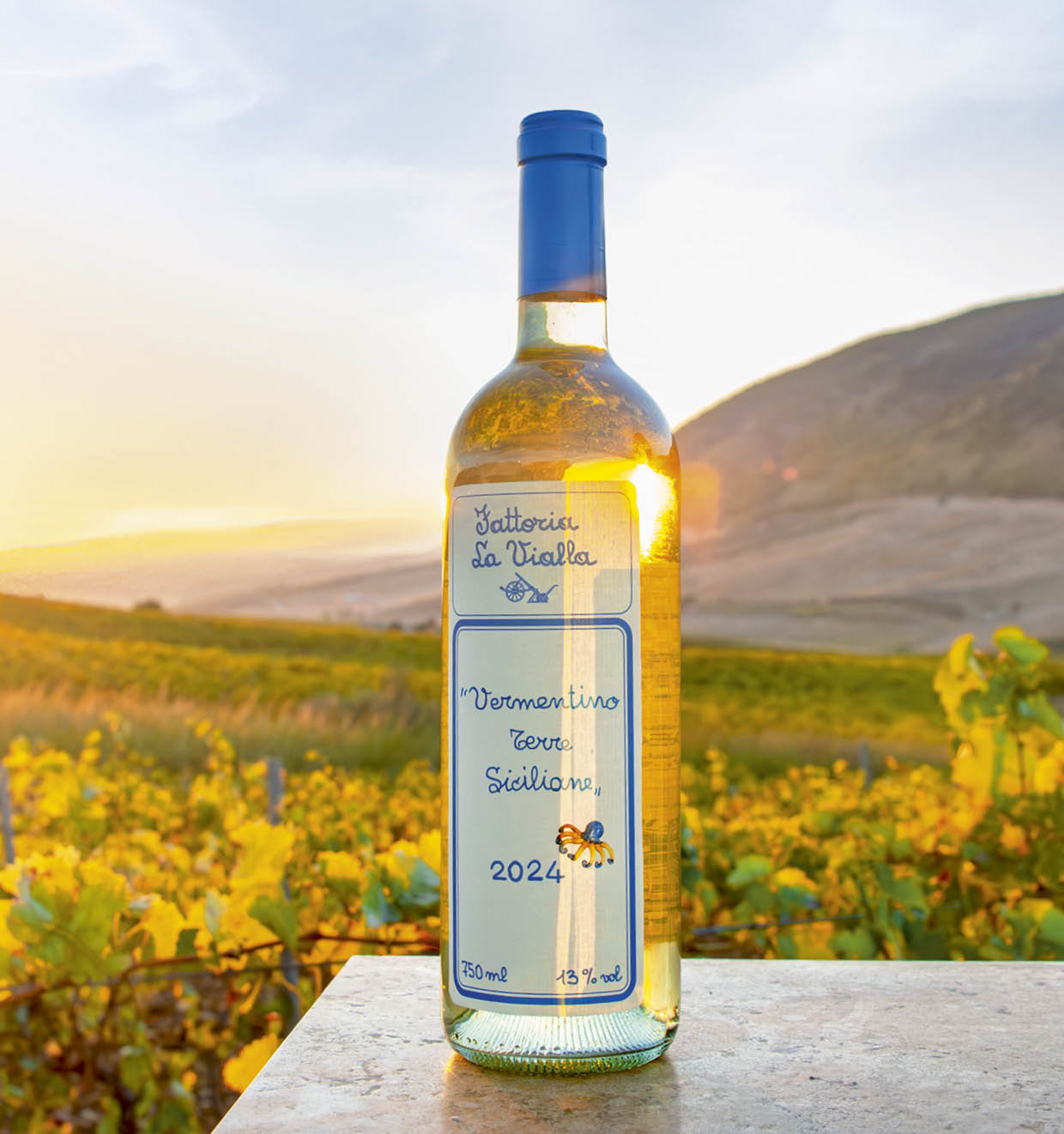 Vermentino Terre Siciliane  I.G.T. 2024