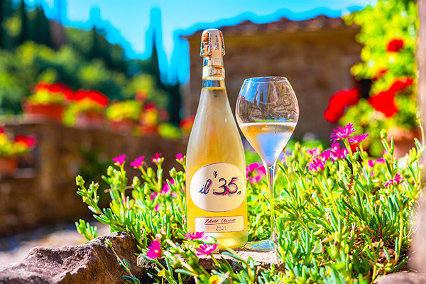 Metodo classico La Vialla