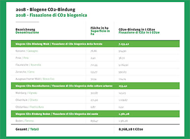 Part of the detailed calculation contained in natureOffice’s report on Fattoria La Vialla’s 2018 CO2 balance Part of the detailed calculation contained in natureOffice’s report on Fattoria La Vialla’s 2018 CO2 balance