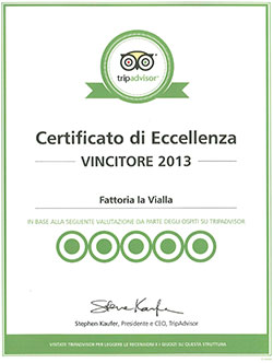 TripAdvisor 2013