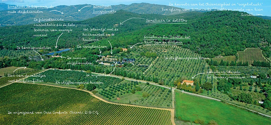 Panorama van Fattoria La Vialla en de landhuizen, de wijn- en olijfboomgaarden, de velden en de bossen er omheen