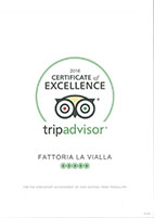 Tripadvisor 2016
