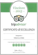Tripadvisor 2015
