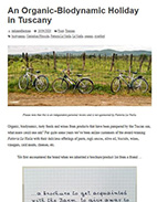 Italian Reflections 2020